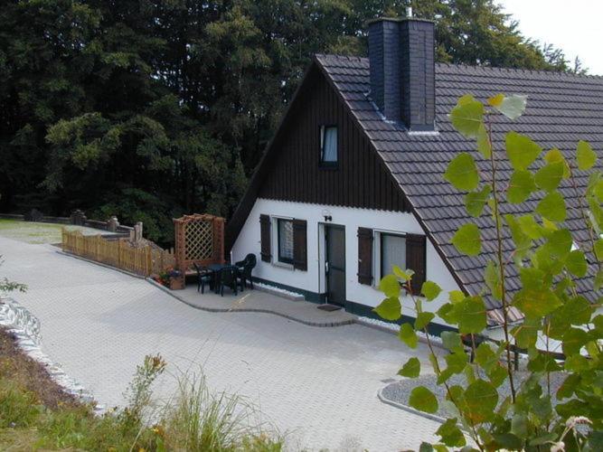 Nice Holiday Home Near Ski Area Medebach Extérieur photo