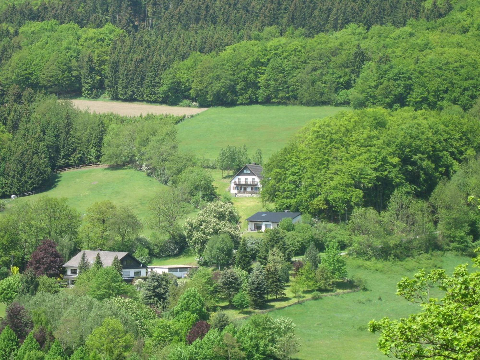 Nice Holiday Home Near Ski Area Medebach Extérieur photo
